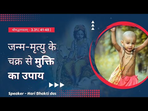 469 पुनर्जन्म लेने का कारण || SB 3.31.41-48 by H.G. Hari Bhakti Prabhuji