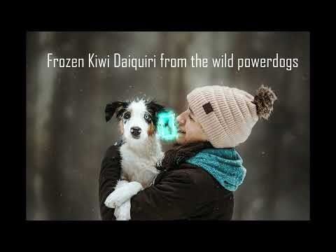 Frozen Kiwi Daiquiri from the wild powerdogs 1 year Agility