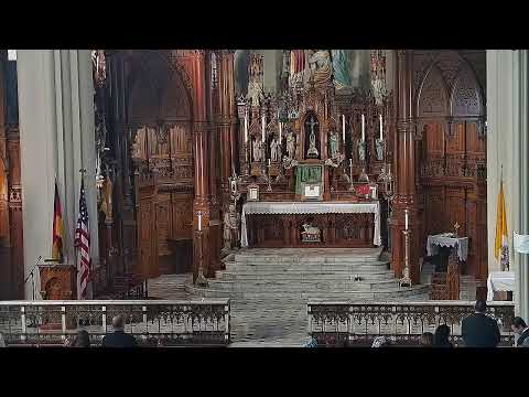 Traditional Latin Mass - Nineteenth Sundat after Pentecost