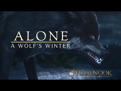 CGI 3D Animated Short Film  "Alone: A Wolf's Winter" | FilmiNook