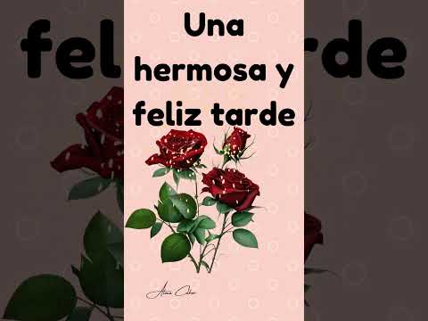 Mensaje corto Buenas tardes Feliz tarde episodio 8