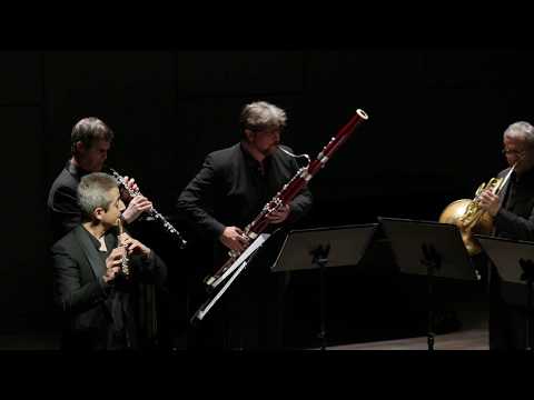 2017 Perigee Hall Moraguès Woodwind Quintet - W. A. Mozart