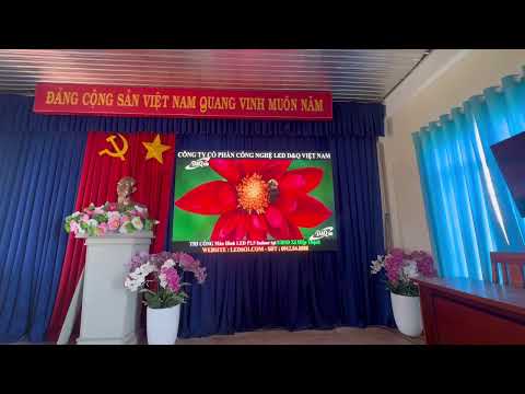 Video dự án