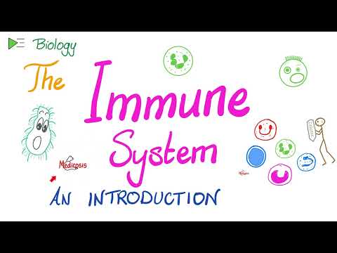 The Immune System - An Introduction - Types of Immunity - Immunology Playlist