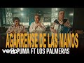 Los Palmeras, José Luis Rodríguez - Agárrense De Las Manos