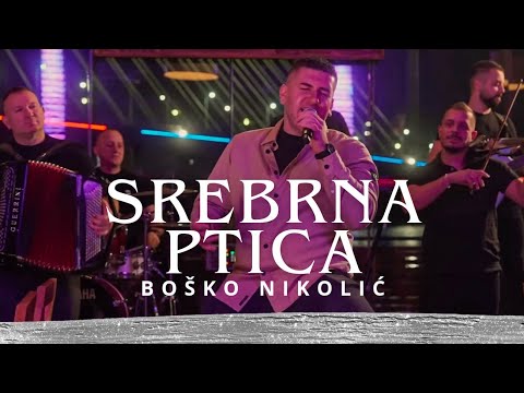 BOŠKO NIKOLIĆ i ORKESTAR KRALJEVI - SREBRNA PTICA (COVER)