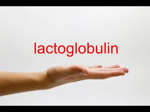 How to Pronounce lactoglobulin - American English
