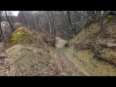 Tura Posesti, Valea Anei