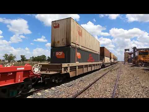 SCT011 & SCT009 Yarrabandai NSW.  Tue 14th Feb 2023