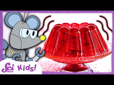 Wiggly Gelatin Treats! | The Science of Food! | SciShow Kids