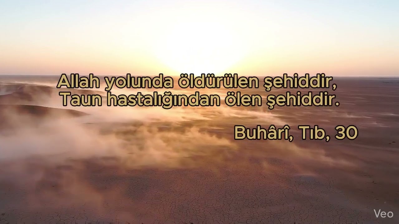 Şehitlik Sadece Cephede mi Olur? 🕊️✨ #hadis