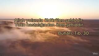 Şehitlik Sadece Cephede mi Olur? 🕊️✨ #hadis