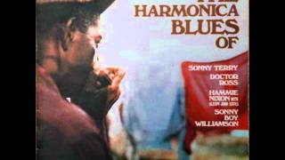 Hammie Nixon - Minnies Blues