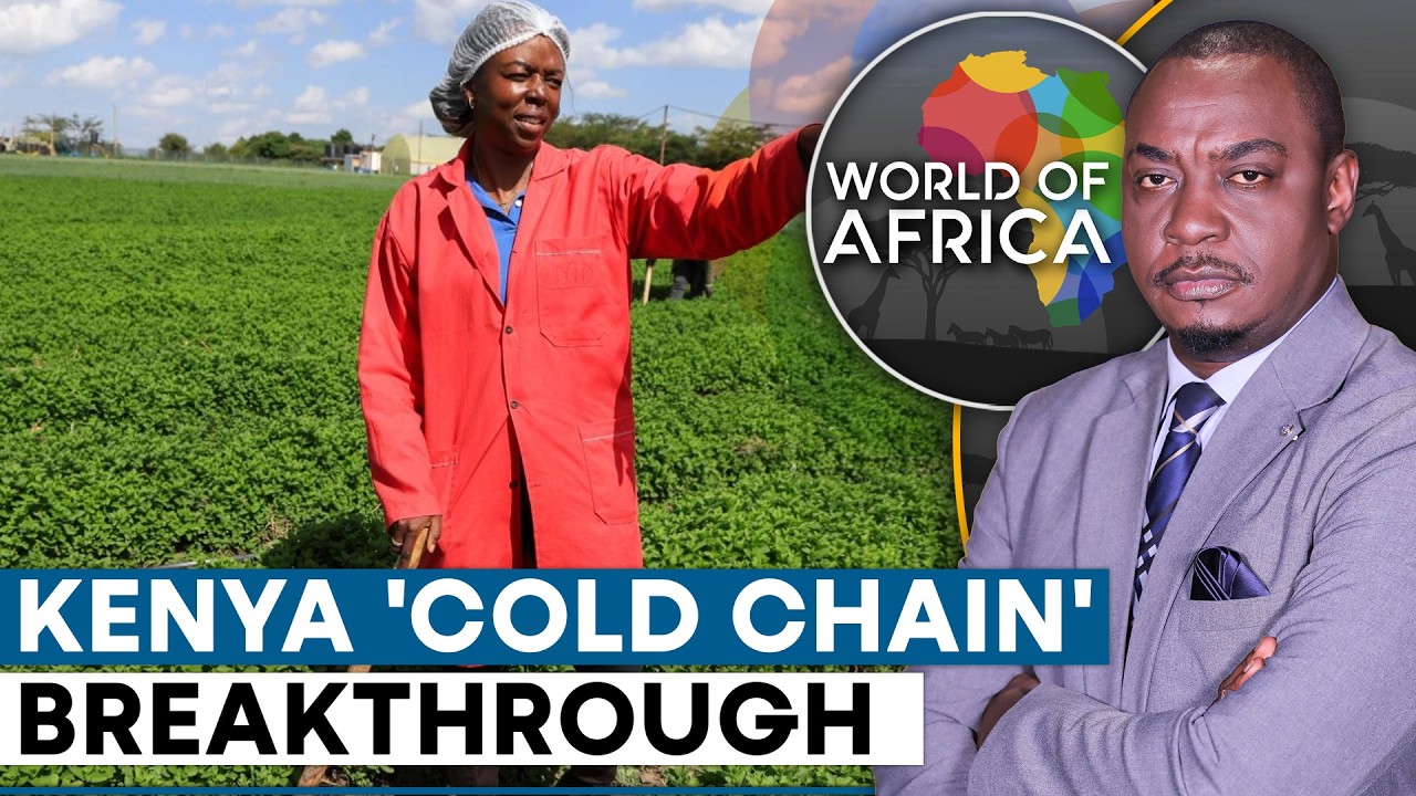Solar-Powered Cold Containers Helping Farmers Preserve Crops | World Of Africa | WION