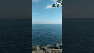 Download lagu suara merdu Muhammad Thoha#viralvideo #shortvideo #viral #murattalmerdu mp3 Download lagu suara merdu Muhammad Thoha#viralvideo #shortvideo #viral #murattalmerdu mp3