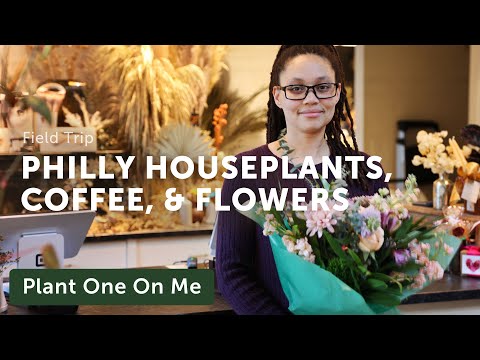 24 Hrs in Philly VAULT+VINE Houseplant Tour — Ep. 317