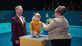 WOW! fiber Internet - Starting at just $40/mo