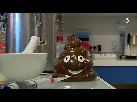 La transplantation de microbiote fécal, ce médicament (mal connu) utilisé et étudié à Toulouse