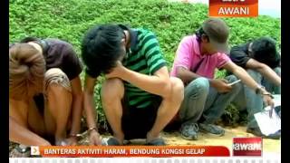 Download lagu Banteras aktiviti haram, bendung kongsi gelap mp3 Download lagu Banteras aktiviti haram, bendung kongsi gelap mp3
