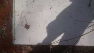preview picture of video '39.95553 -82.75144 project whyda brending etna township oh 43018'