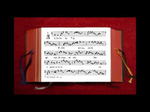 Missa in Dominica XIII post Pentecostes