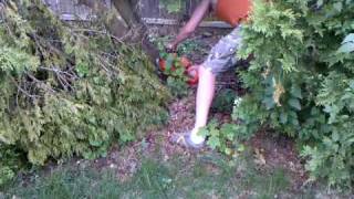 How to use a chain saw, Rutzel style!