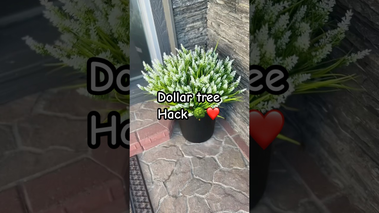 Follow for more❤️# dollartree #DollarTreeHack #DollarTreeDIY#DollarTreeOrganization #dollartreefinds