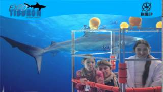 DIA 3 Expo Tiburon76