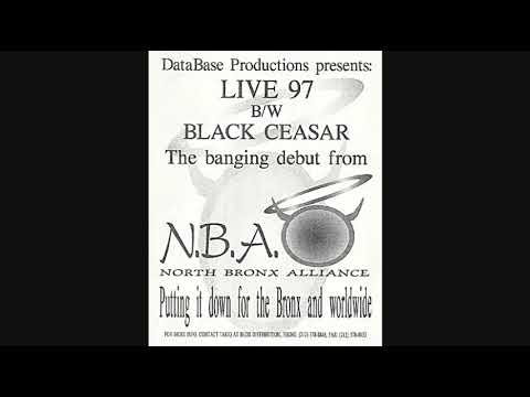 North Bronx Alliance - Black Caesar