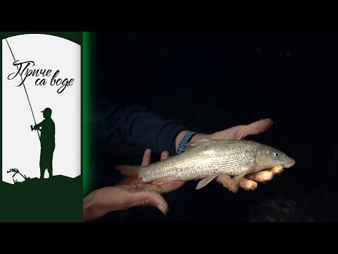 Priče sa vode ep. 47 25.08.2020. Noćno pecanje, Dunav, Banoštor