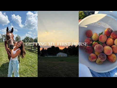 VLOG | Getting my first ever horse, decorating, & clothing haul !