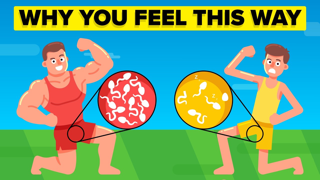 What Low Testosterone Does to Your Body