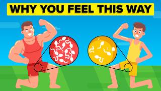 What Low Testosterone Does to Your Body