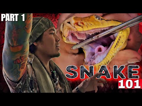 Part 1 - Handling Snake 101 with Doc Mikko