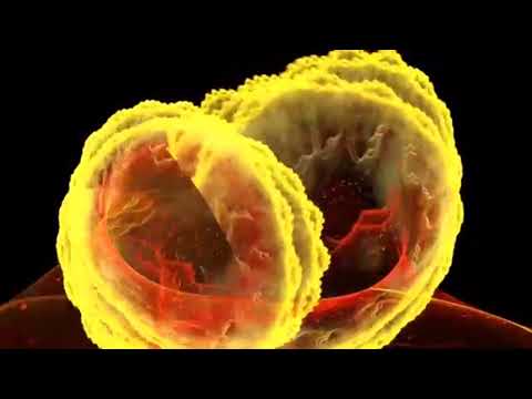 GEDANKEN SIND DEINE WAHRE MACHT, TEIL III - Materialisierung