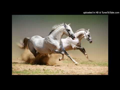 Today's Tango Is... Corralera - Şirin Pancaroğlu and Bora Uymaz 2014