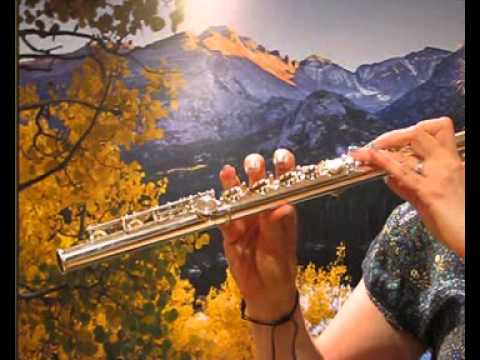 Yamaha Allegro 371 Used Flute - Upper Register