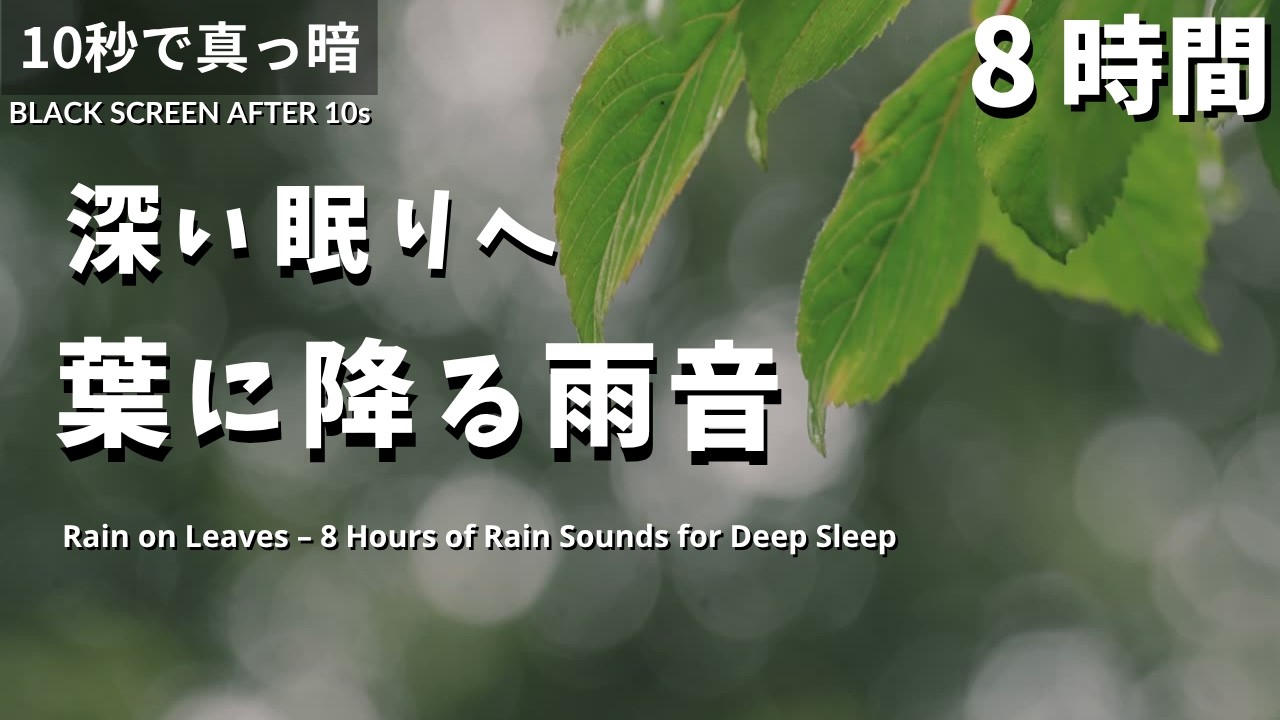葉に降る雨音｜深い眠りへ【8時間・黒画面・雷なし】