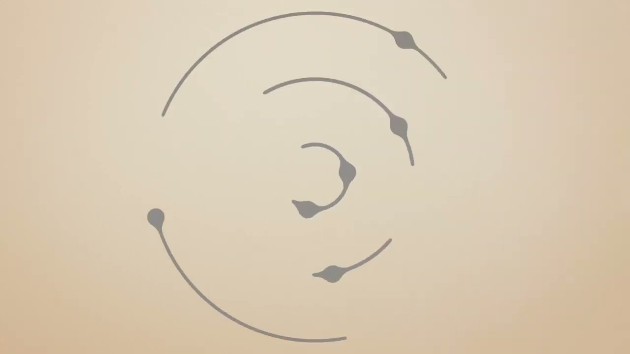 4K Simple Logo Reveal | After Effects Templates