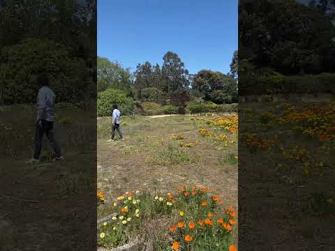 5 preciosos sitios de 2000 mt en Las Vertientes, Santo Domingo, Valparaiso