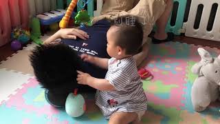 9ヶ月の赤ちゃんってこんなに賢いの？目的のために手段を選ばず