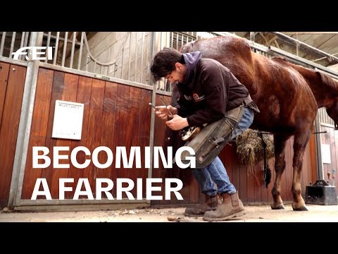 Farrier video 2