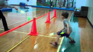 Pickle ball