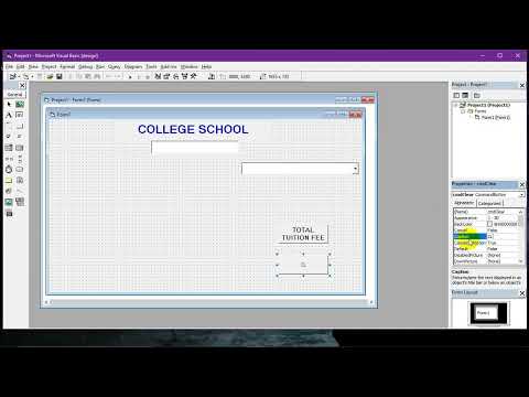 What Is The Perfect Vb6 Program For College Kids