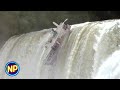 Down The Waterfall Anacondas The Hunt For The Blood Orchid 2004
