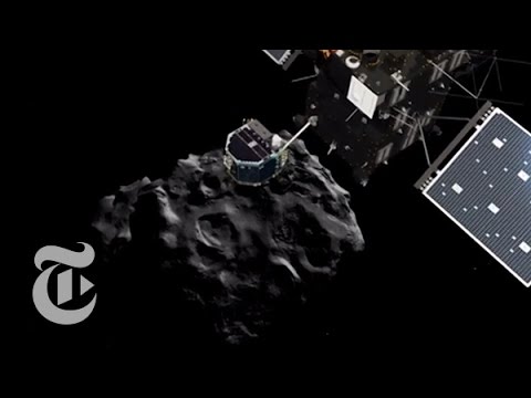Rosetta Comet Landing: Reaction to Philae Lander Arriving at Destination
