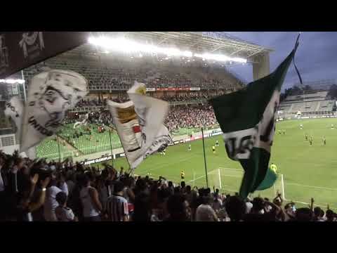Galoucura Galo x Coxa