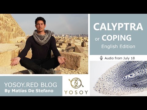 Day 349 - CALYPTRA - Matías De Stefano - YOSOY.RED BLOG: Ankles-Emotional- Cancer, Read by Joan 7/18