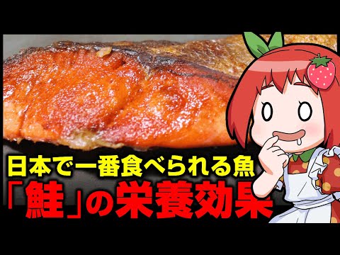 , title : '【ゆっくり解説】日本で１番食べられている魚！？鮭の栄養・効能とは'