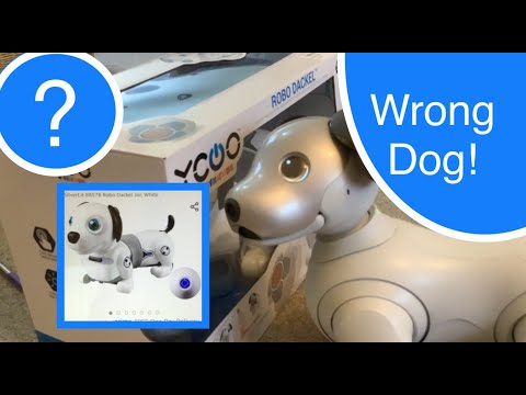 SilverLit 88578 Robo Dash Dackel Junior - Amazon sent me the wrong dog - plus Scout meets Robo Dash